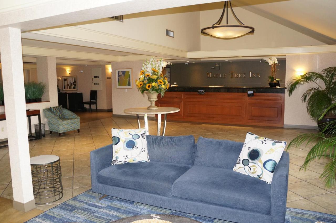 Maple Tree Inn Sunnyvale Zewnętrze zdjęcie