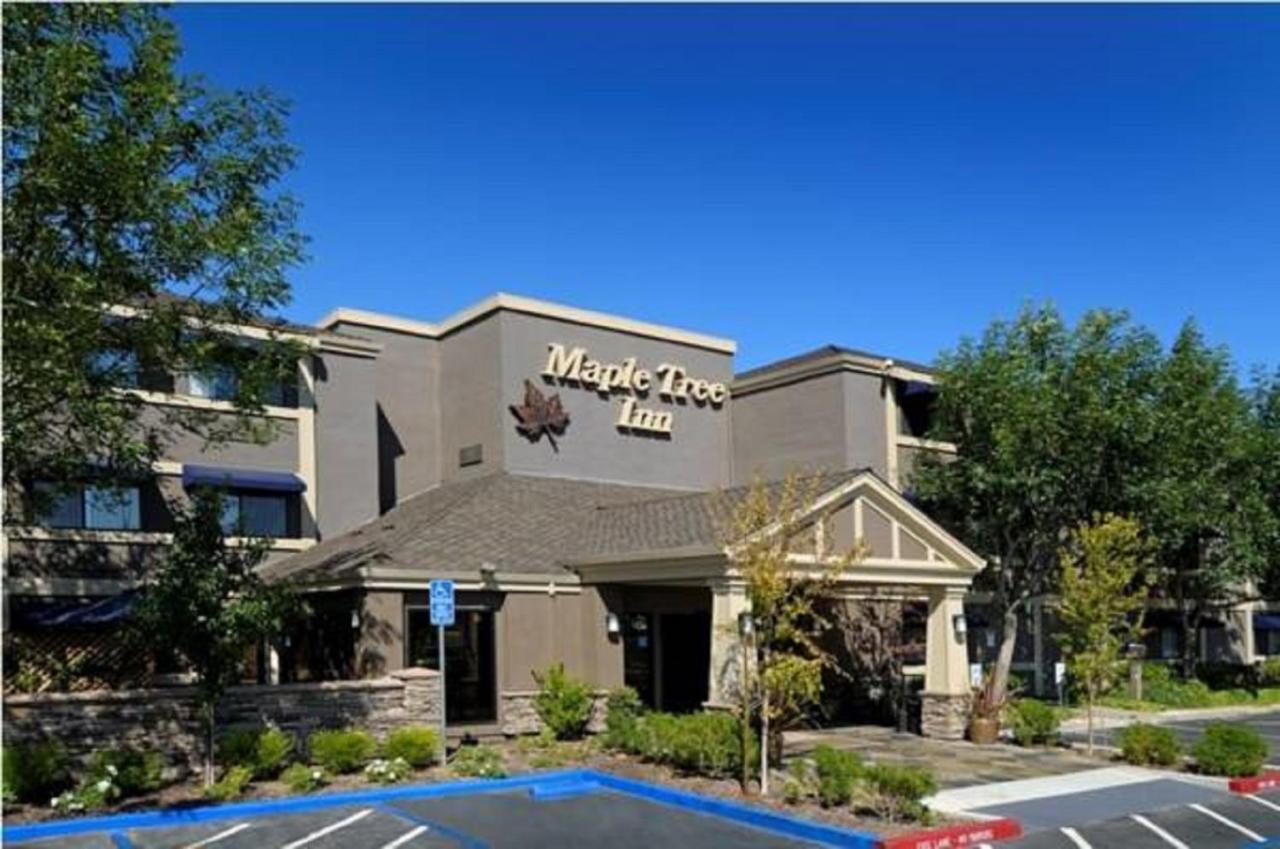 Maple Tree Inn Sunnyvale Zewnętrze zdjęcie
