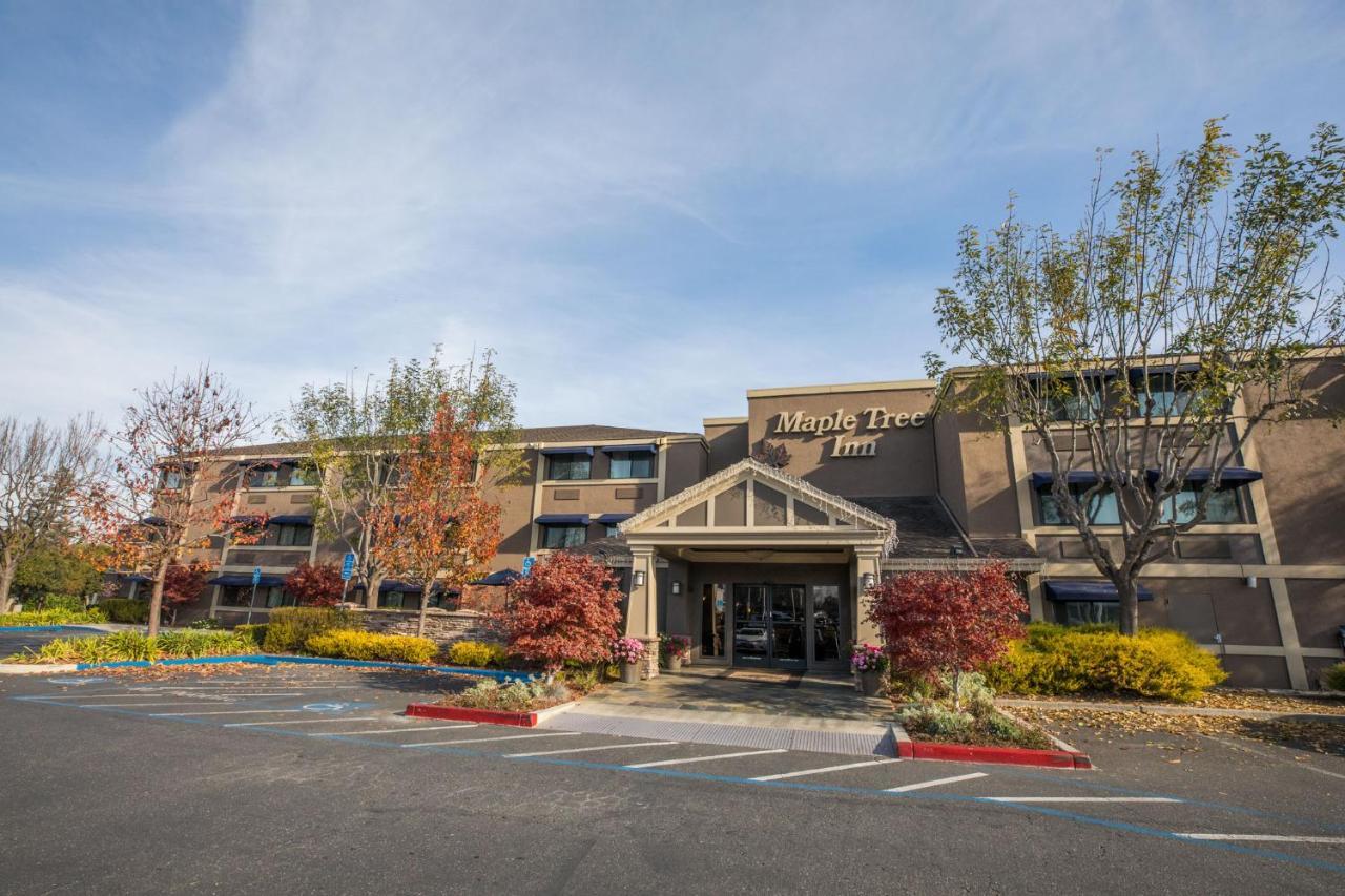 Maple Tree Inn Sunnyvale Zewnętrze zdjęcie