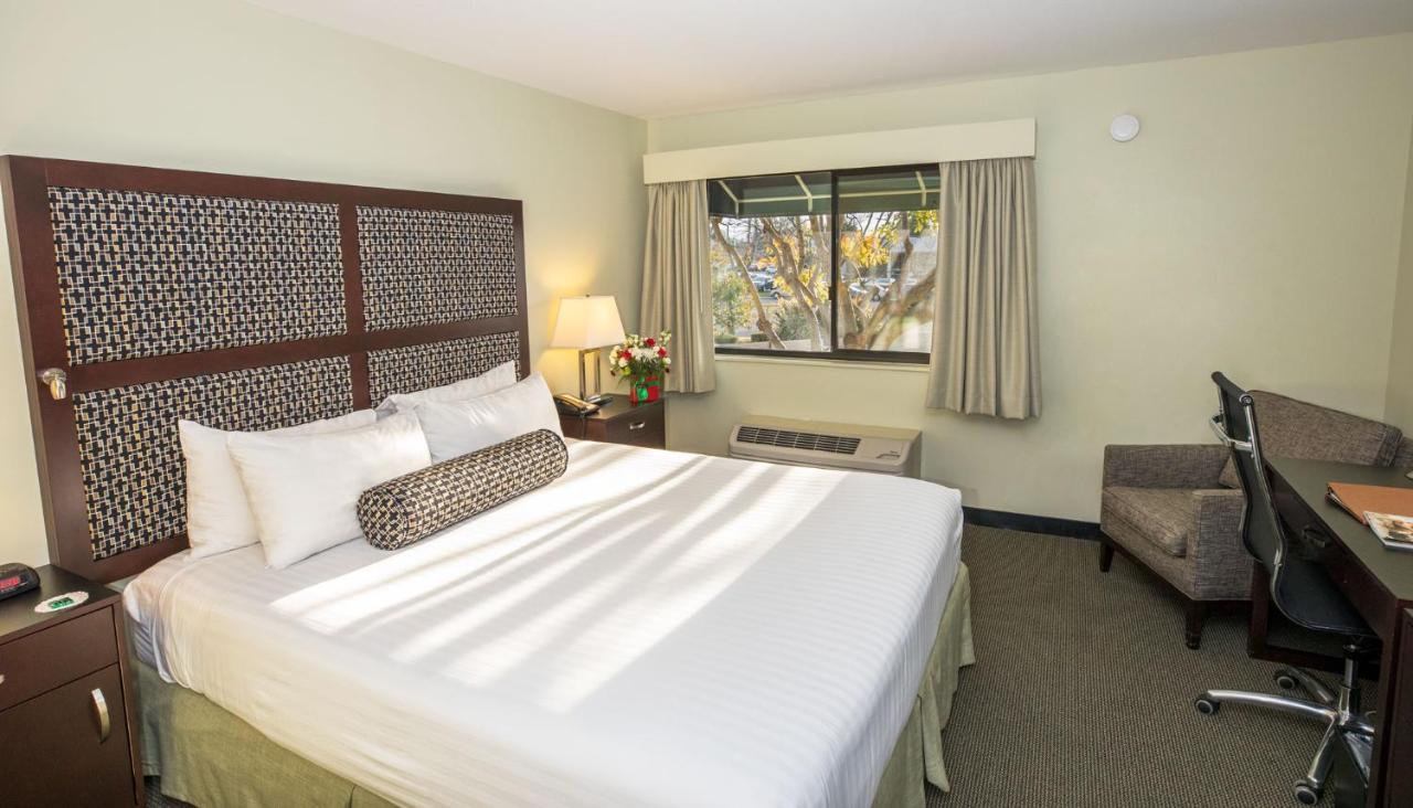 Maple Tree Inn Sunnyvale Zewnętrze zdjęcie